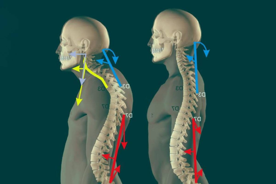 [kate_good_fitt] Екатерина Васильева ― Курс 40 + (_0.png